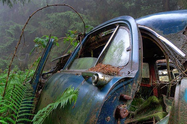 chatillon-car-graveyard-abandoned-cars-cemetery-belgium-6.jpg