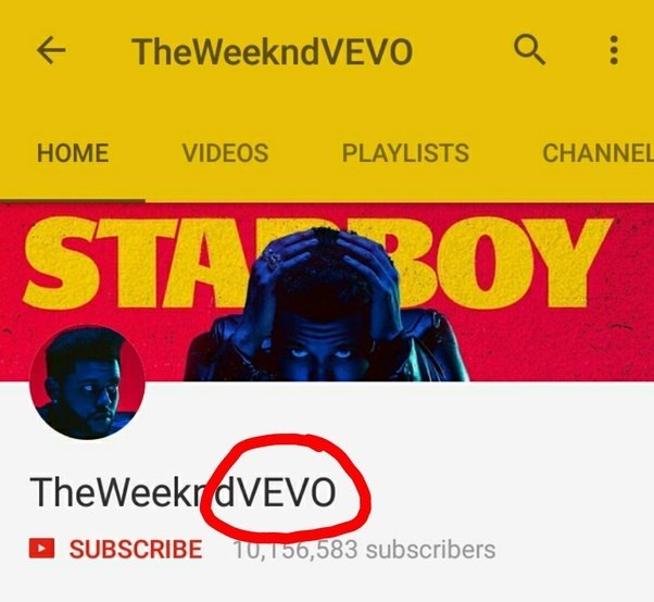 vevo2.jpeg