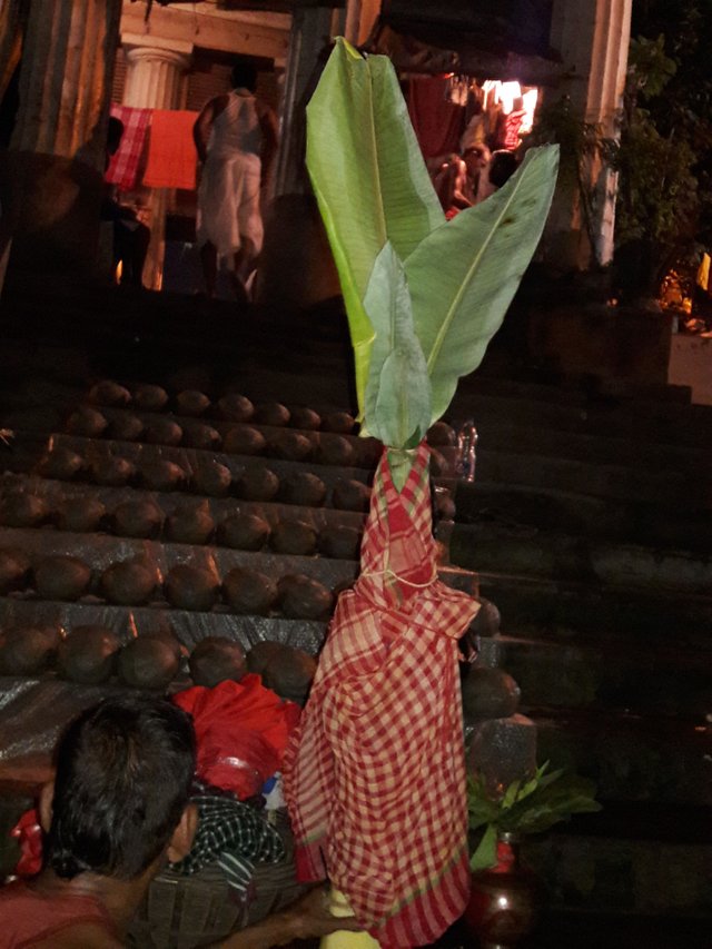 20170927_045056.jpg