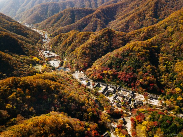 Naejangsan Autumn-6.jpg