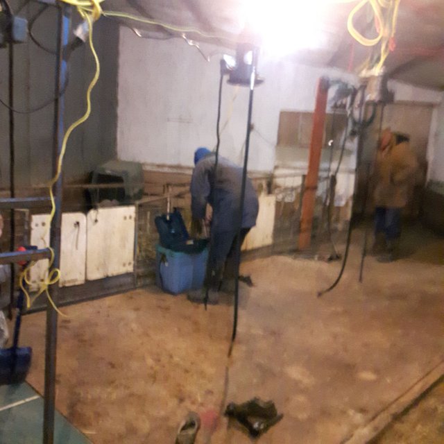 20171214_094631.jpg