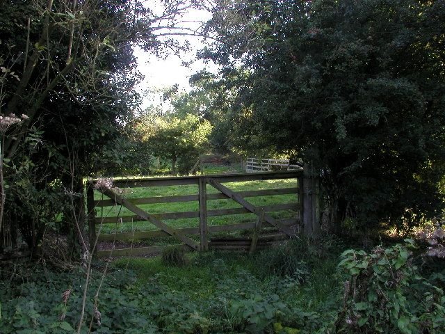 Secluded_field_-_geograph.org.uk_-_57510.jpg