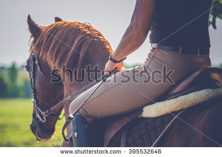 stock-photo-woman-riding-on-a-brown-horse-395532646.jpg