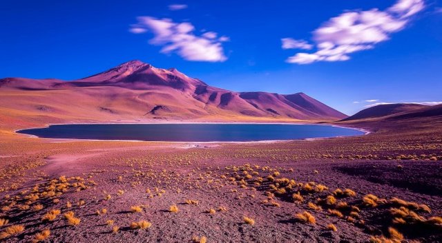 atacama desierto.jpg