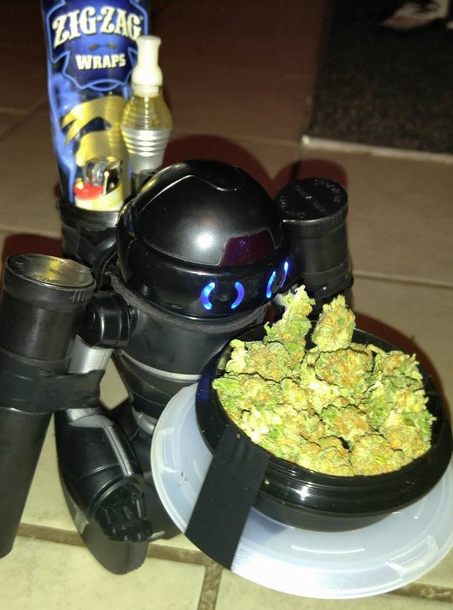 weed droid 001.jpg