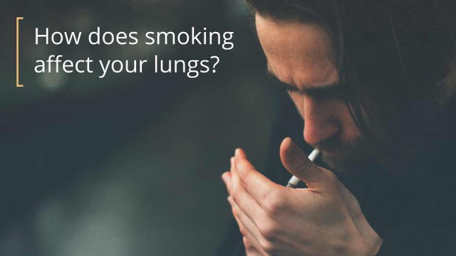 1296x728_HEADER_Smokers_Lungs_vs_Healthy_Lungs.jpg