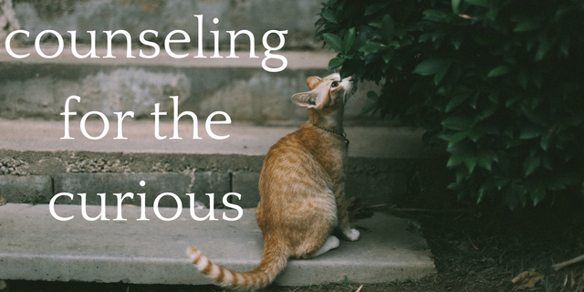 counselingfor-thecurious-1.png