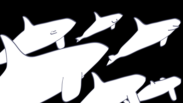 KillerWhaleComposition2.png