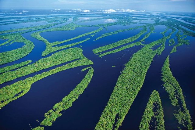 Amazon+River+in+Brazil.jpg