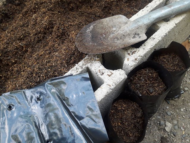 kuuma homo Hieronta porno