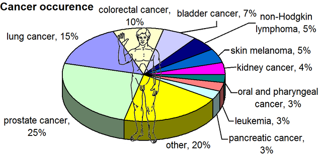 Most_common_cancers_-_male,_by_occurrence.png