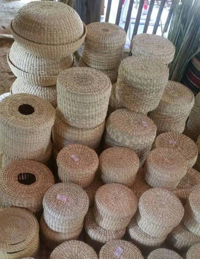 bamboo product2.jpg