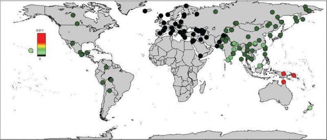 aworldmapofn.jpg