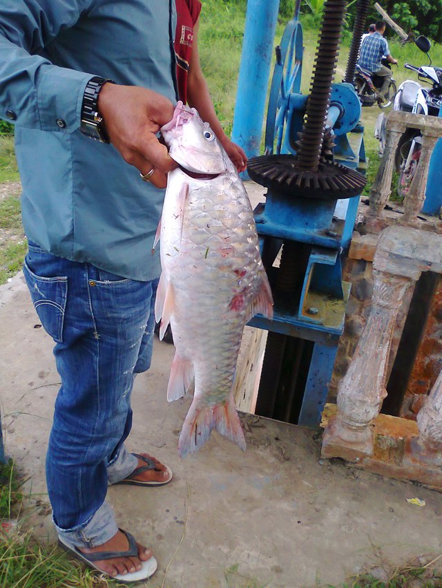 Hasil dari Sungai Keureutoe Blang Pante.jpg