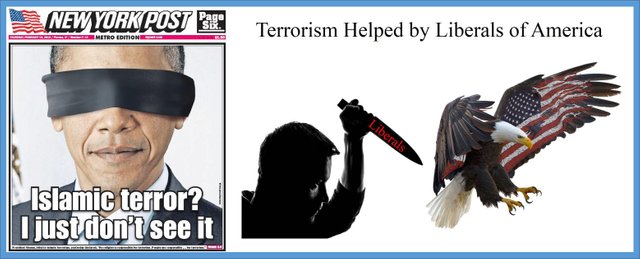 Liberal-Terrorism.jpg
