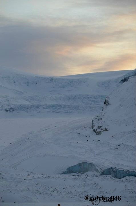 columbia ice fields.jpg