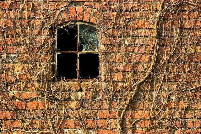 depositphotos_38829673-stock-photo-red-brick-wall-with-climbing.jpg