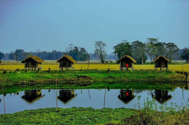 majuli island.jpg