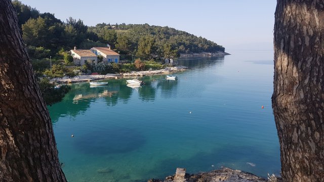 20180429_180029.jpg
