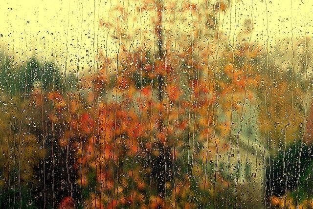 autumn-rain-pane-ofglass.jpg