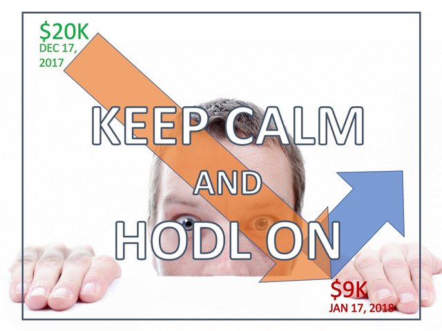 Keep Calm and Hodl On.jpg