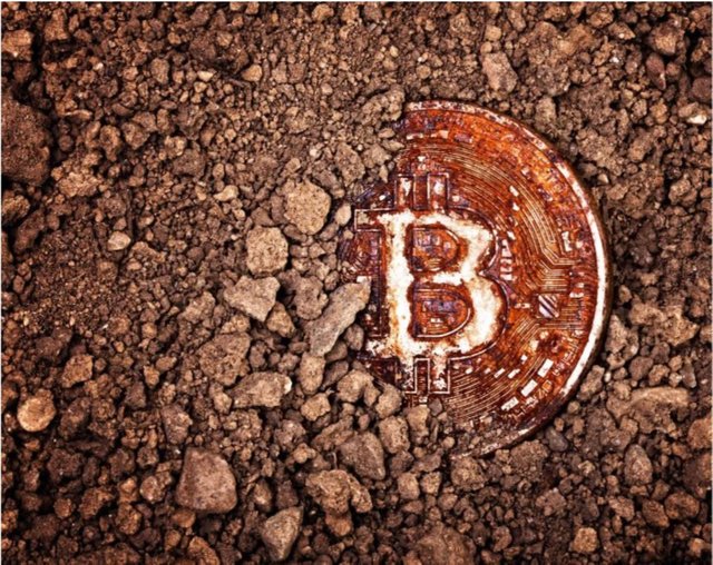 Bitcoin seeds.jpg
