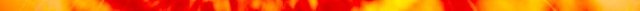 bright-orange-tabby (1).jpg