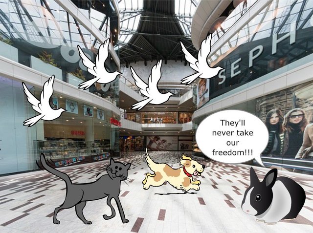 Mall 1 2.jpg