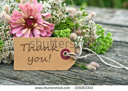 stock-photo-pink-flowers-and-card-with-lettering-thank-you-thank-you-english-155063303.jpg