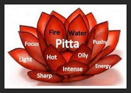 pitta logo.jpg