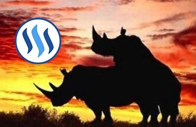 rhino sunset steemit.jpg