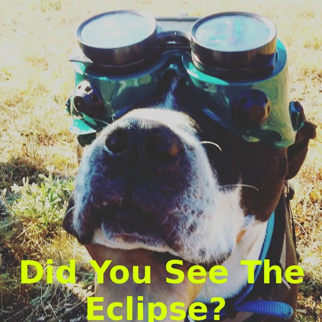 #2 My Trip To Experience A Total Solar Eclipse