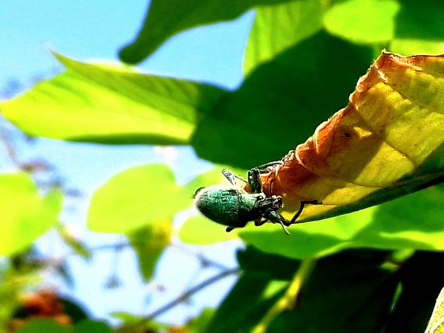 20180215_102637_0.jpg