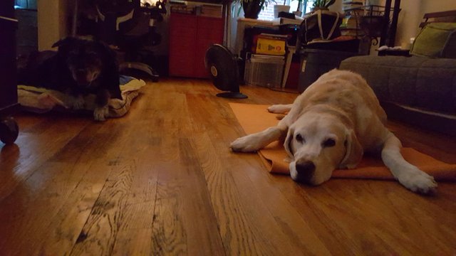 20160614_193027.jpg