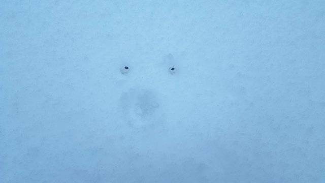 20180228_173927.jpg