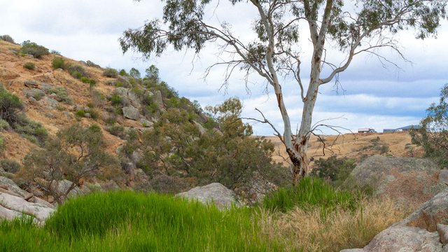 Mannum_Falls (7).jpg