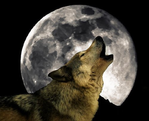wolf-moon.jpg