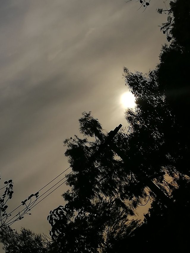 IMG-20180405-WA0063.jpg