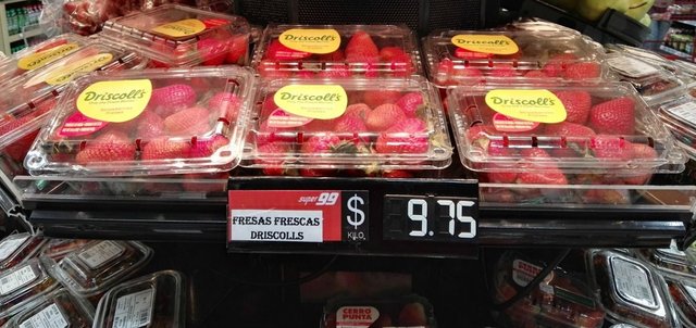 strawberries-imported-panama.jpg