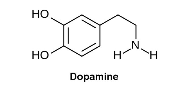 the-connection-between-marijuana-and-dopamine-what-is-dopamine.jpg