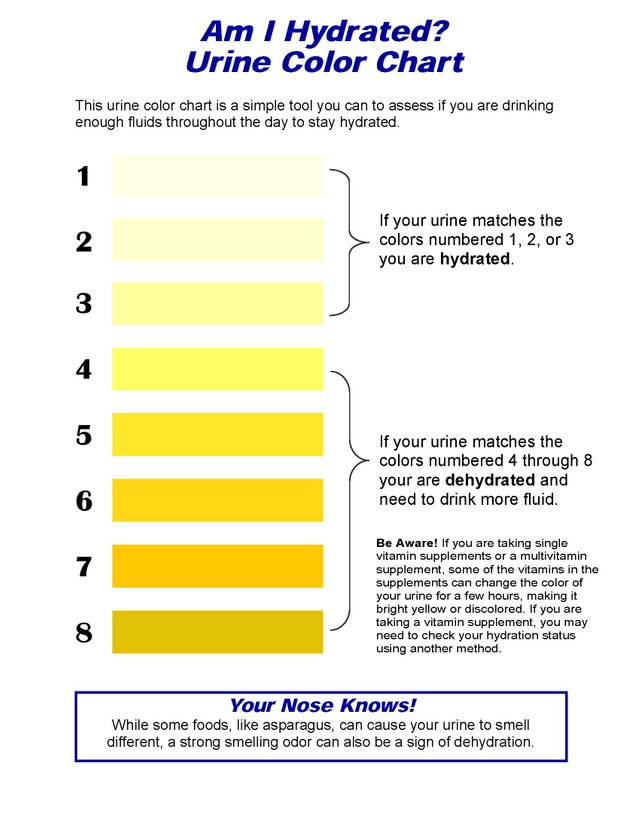 Fat In Urine - Herbs and Food Recipes