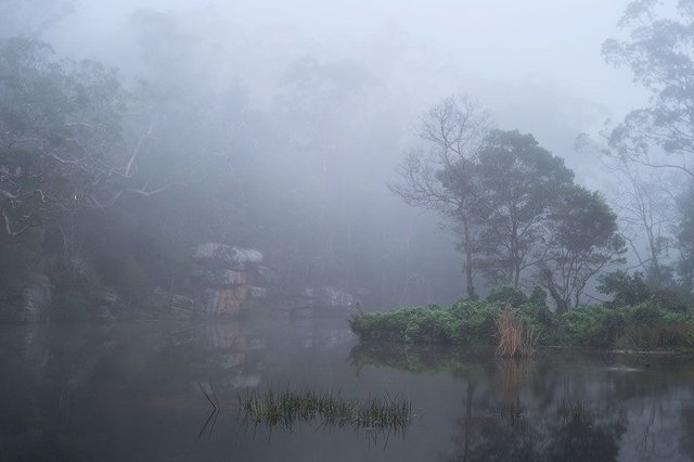 foggy-autumn-landscape.jpg