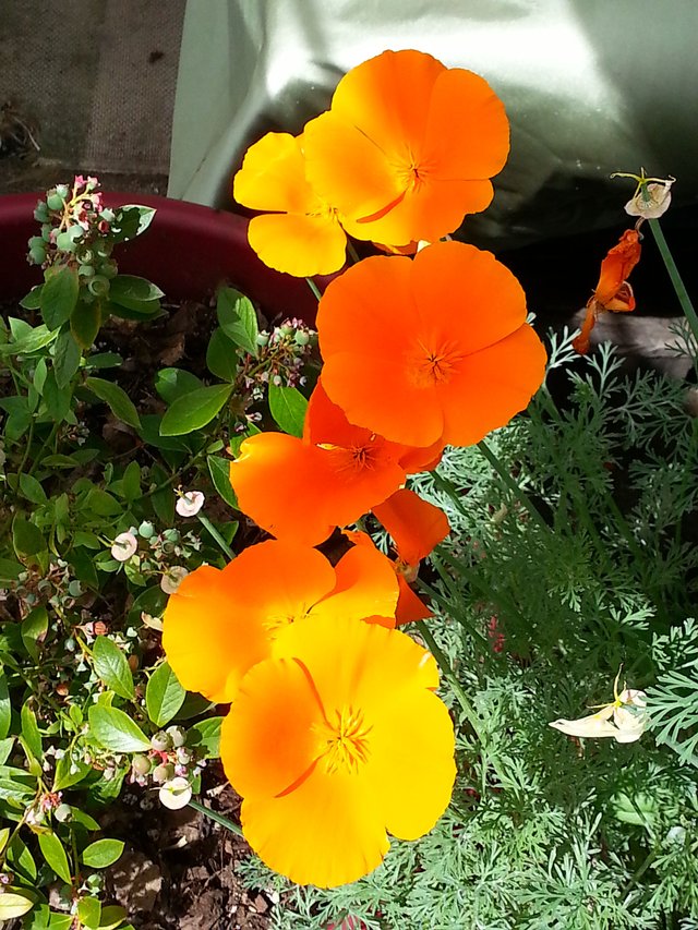 20180519_154252.jpg