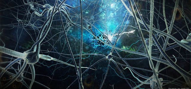 Neurons-900x420.jpg