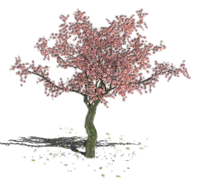 cherry_tree_uni.png