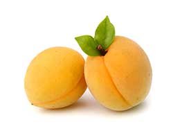 apricot_432294190_250.jpg