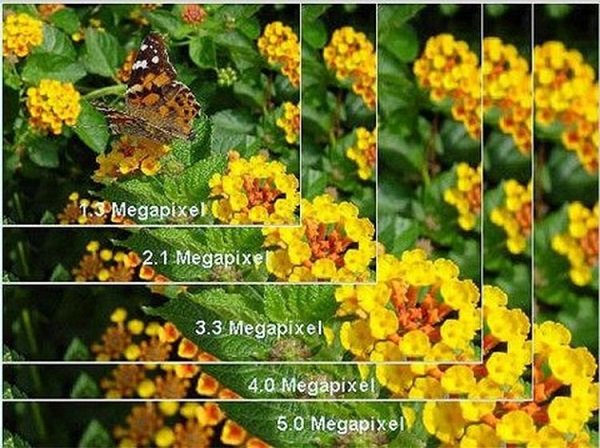 Megapixels-in-a-Digital-Camera-2.jpg