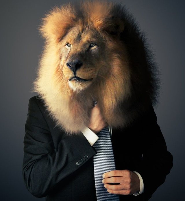 lionsuit.jpg