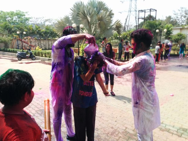 Holi 12.jpg