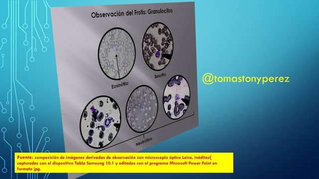 Observación_Granulocitos.JPG